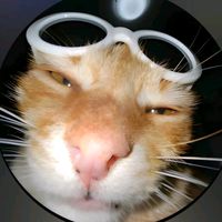 suara asli - padhilee_01