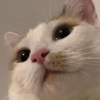 _634859