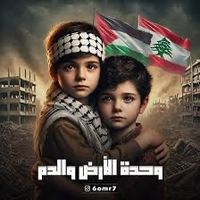 ali.alghool