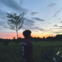 borey_mn