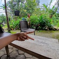 suara asli