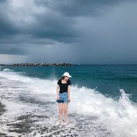 nhạc nền - ⚜️Ngân Trương⚜️