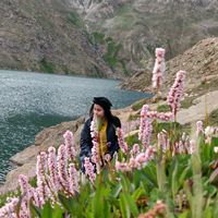 saima.rameez6