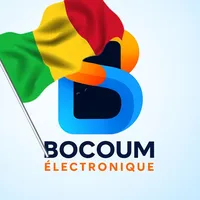 original sound - bocoum.electronique