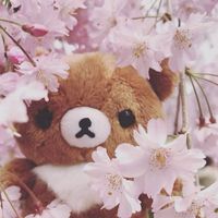 steffy_kiut10
