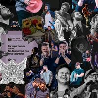 macaquinho.divertido