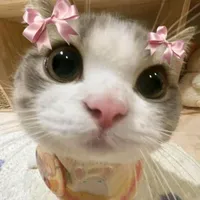 original sound - hsukyi89