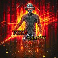 veer.gaming62