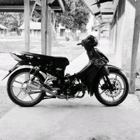 suara asli - revo styel jambi