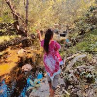 _yoks.nrdste_