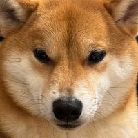 gontanosiawase