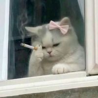 original sound - NexZz💜[Gamer]