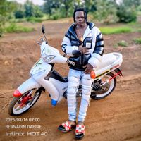 bernadin683