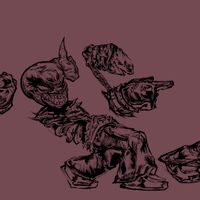 idk_sdii