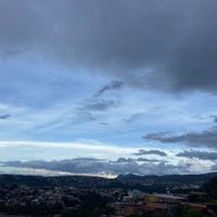 ferreiraawxv_