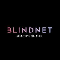 blind_net