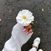 mar__530