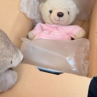 オリジナル楽曲 - 🐻