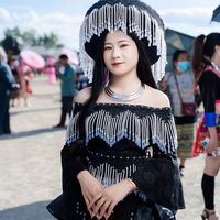 see_thoj15720