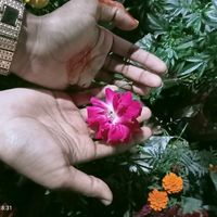 shuva_36