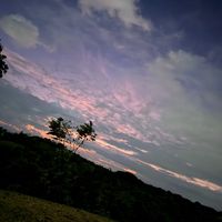 alfredomo09