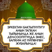 jyrgalbekmusaev5