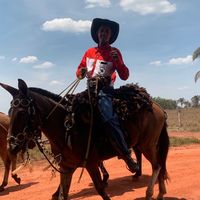 luiz_henrique574