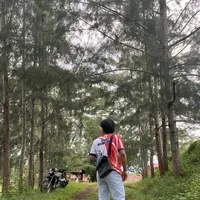 original sound - pitoyy0