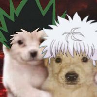 killuagon.love