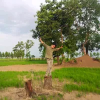 original sound - lanhsambolanhbbmgmail