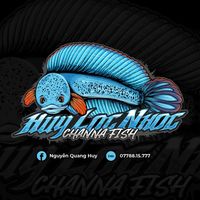 nhạc nền - Thủy Sinh Gold