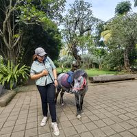 suara asli - evelinyenny82