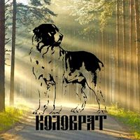 kolovrat_dog