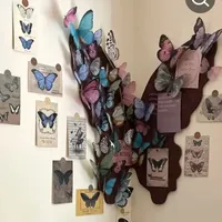 original sound - hyitsmedr