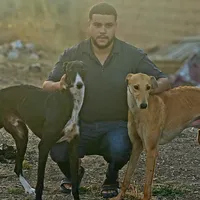 original sound - user8576671341436