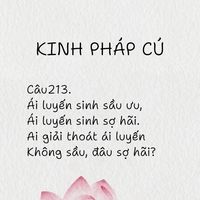nhạc nền - Thôi Bảo Mỹ(최보미 )