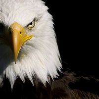 mouh.nadji.aoudia.19