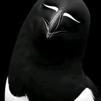 iamrefli
