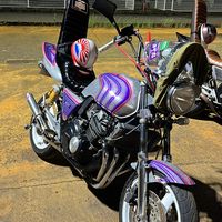 nc31__0601