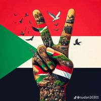 mamoon.mohamed4