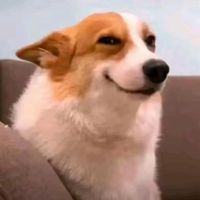 კატაობა მინდოდა რა