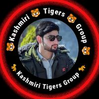 sardar.majnu.bhai