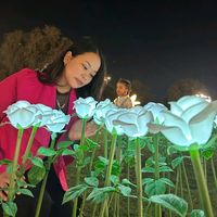 __sushma_magar
