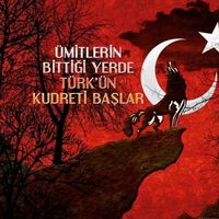 orijinal ses