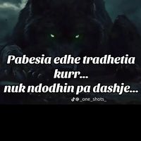 bajram.bisha