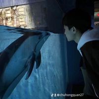 chuhongquan27
