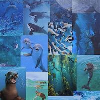 ocean_lover1011