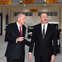 orijinal ses