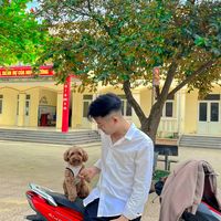 nhạc nền - Ng D Trọng 😼