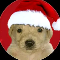 Miteli bi funk Oficial